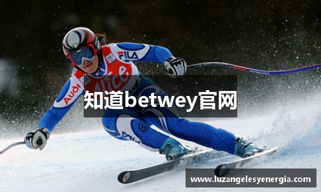 知道betwey官网
